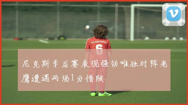 尼克斯季后赛表现强劲唯独对阵老鹰遭遇两场1分惜败